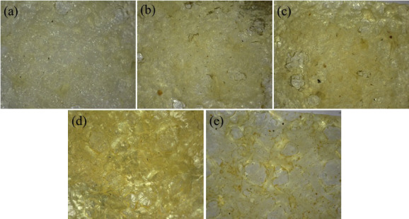 Plan view images of the AgZ-Ch composites observed from the optical microscope (magnication: 200x and scale: 0.2 mm): (a) 0% AgZ-Ch, (b) 0.5% AgZ-Ch, (c) 1.0% AgZ-Ch, (d) 1.5% AgZ-Ch and (e) 2.0% AgZ-Ch.