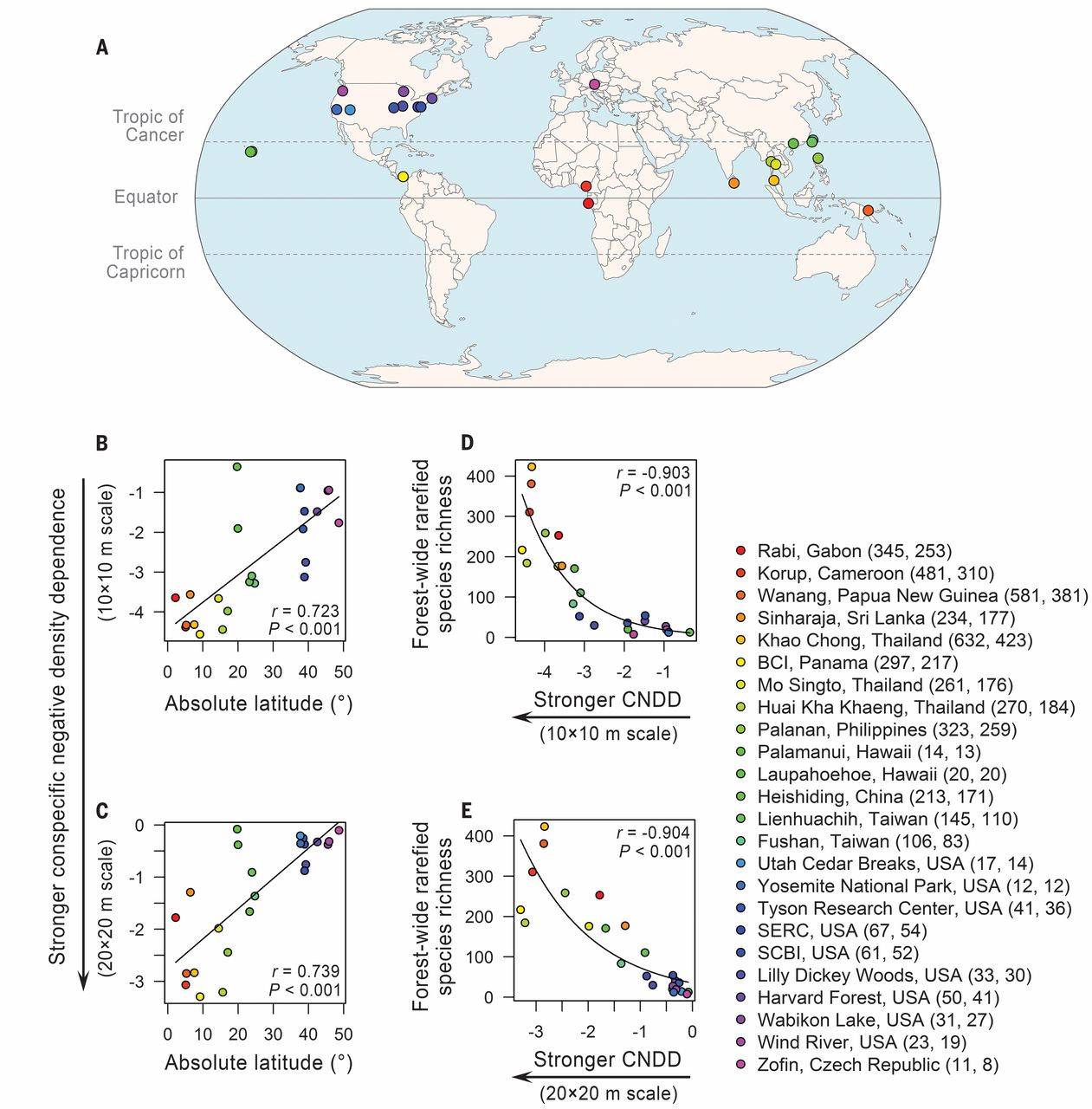 Why are trees and tree species abundant in tropical forests?