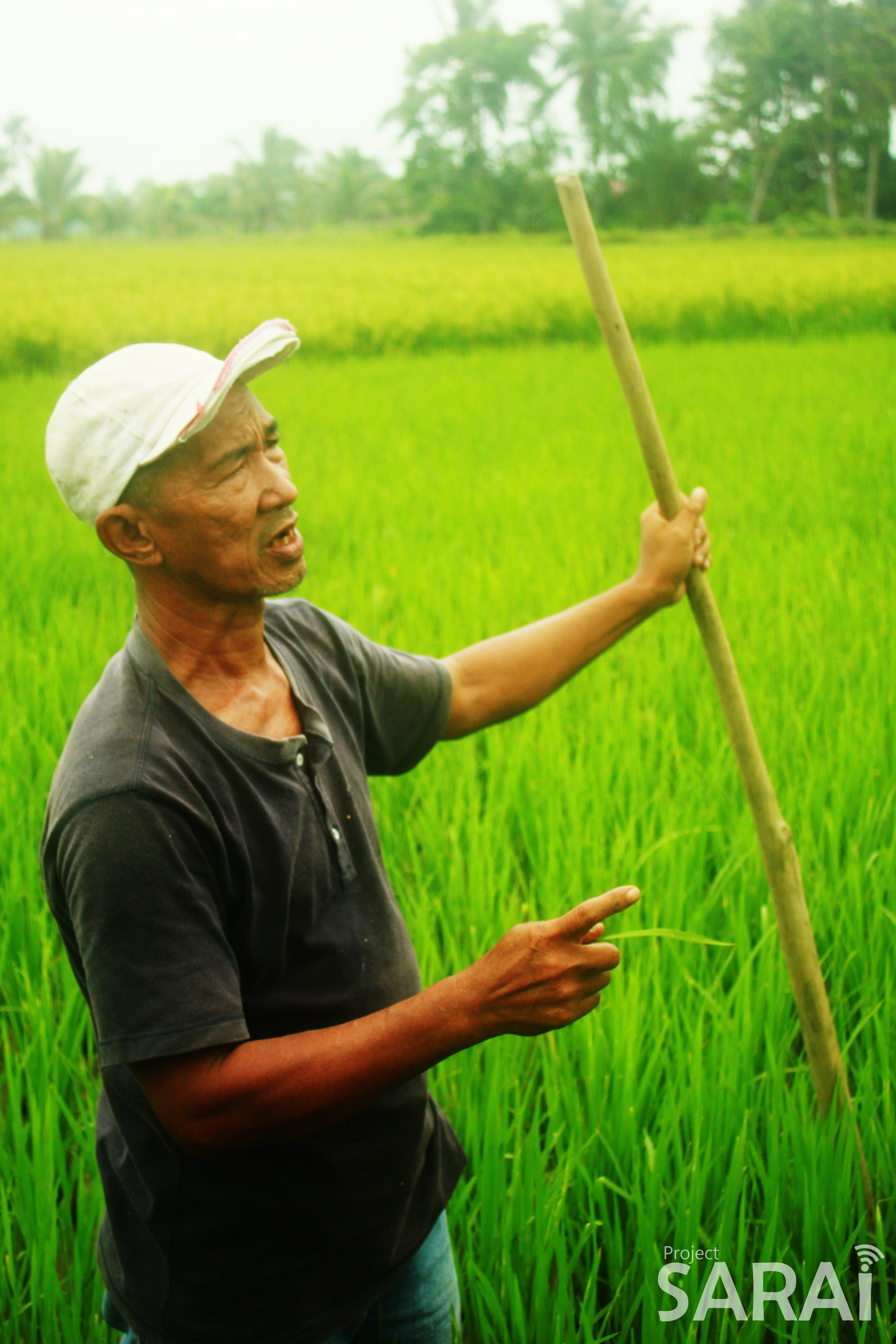 Proactive monitoring and agricultural innovations to reduce farmers' vulnerability to climate change