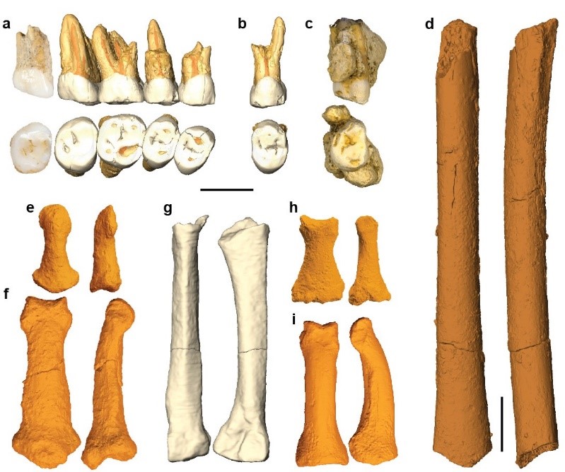 UP researchers co-discover new human species in Luzon